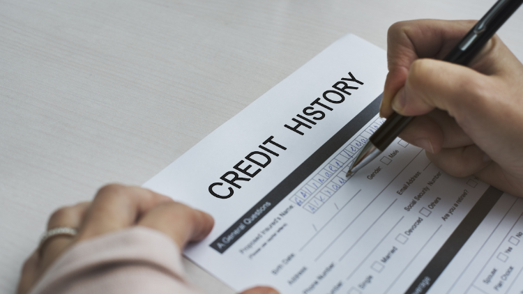 A closeup of a person filling out a credit history form; jotting down personal details.