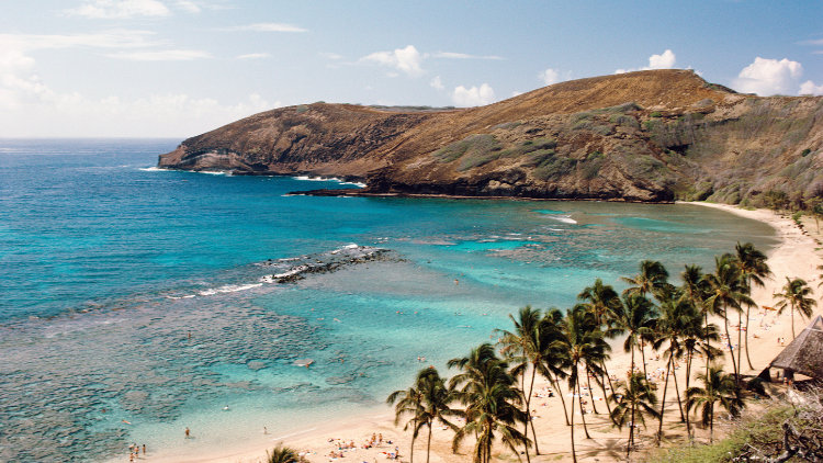 A scenic view of a Hawaiian beach with turquoise water, palm trees, and surrounding hills.