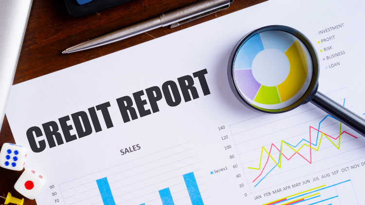 A credit report showing different graphs measuring sales, profits, risks, business, loans and investments.